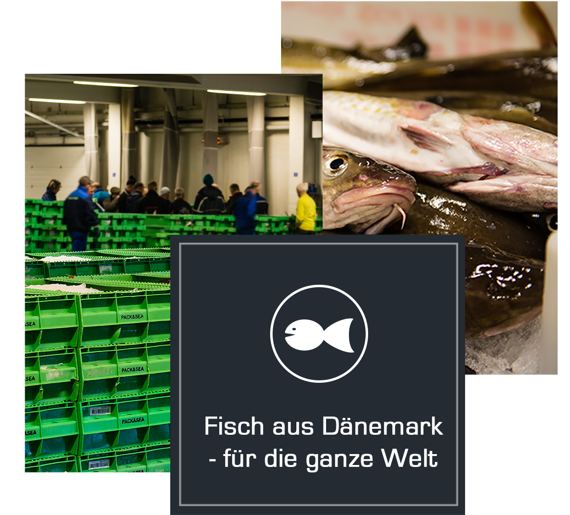 Fisch aus Dänemark für die ganze Welt
